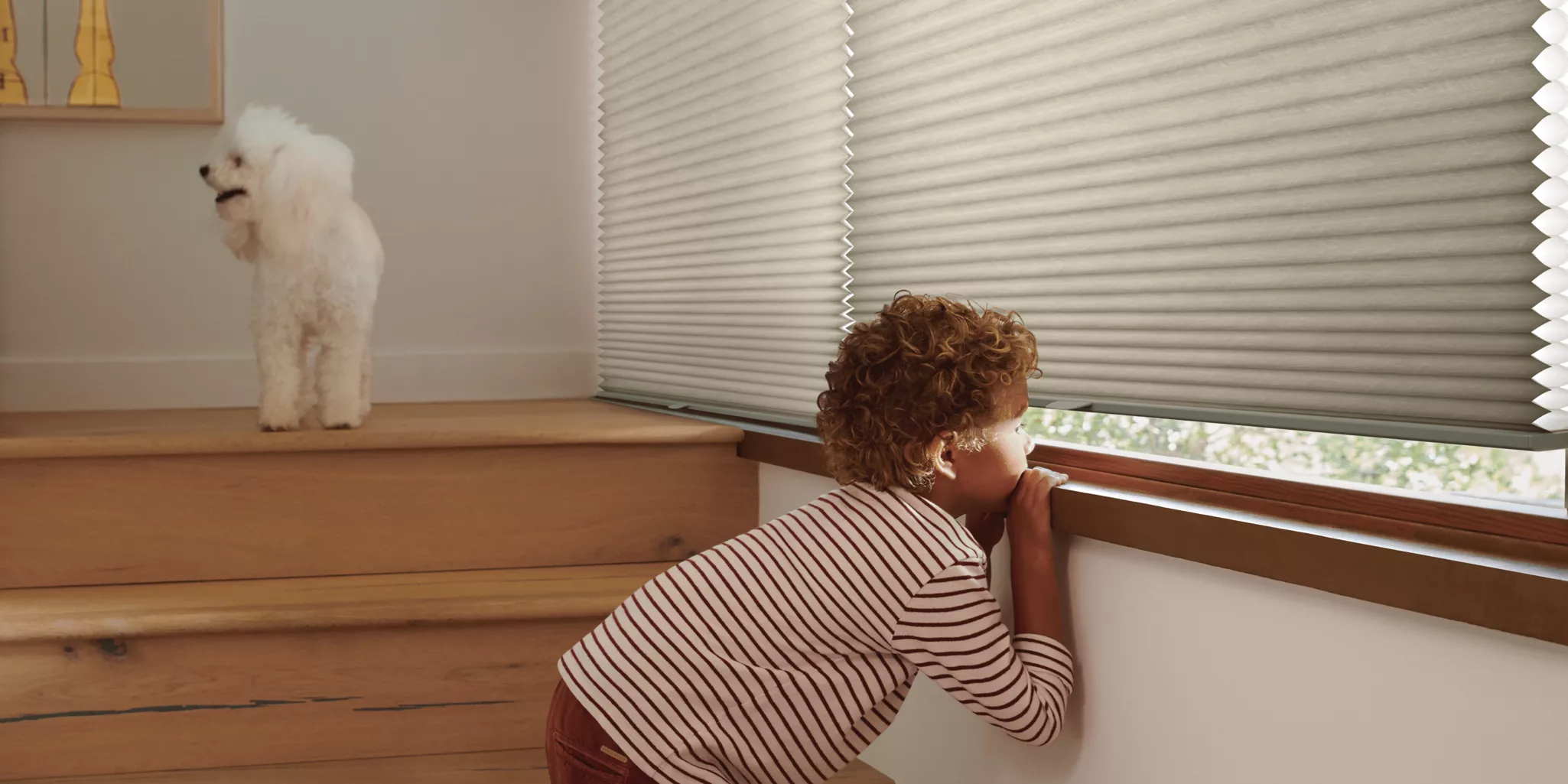 Blind - AD Blinds & Design